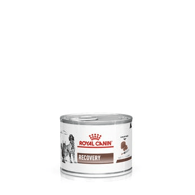 ROYAL CANIN 145 GRS. RECOVERY