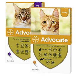 ADVOCATE PIPETA GATO 4KG - 8 KG
