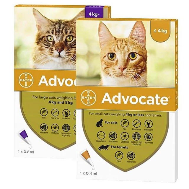 ADVOCATE PIPETA GATO 0 - 4KG 