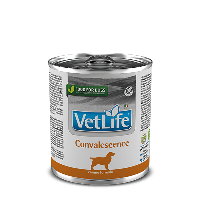 VETLIFE 300 GRS. LATA CONVALENCIENTE DOG