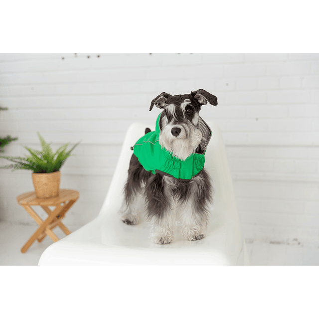 GFPET IMPERMEABLE REVERSIBLE VERDE XL