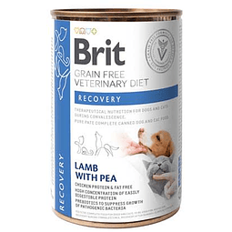 BRIT VETERINARY 400 GRS. RECOVERY