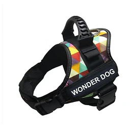 WONDER DOG ARNES COLORES M