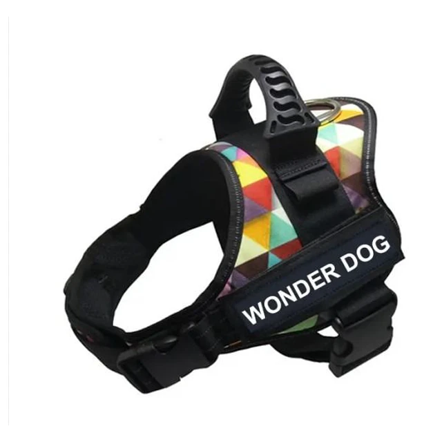 WONDER DOG ARNES COLORES M