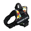 WONDER DOG ARNES COLORES M