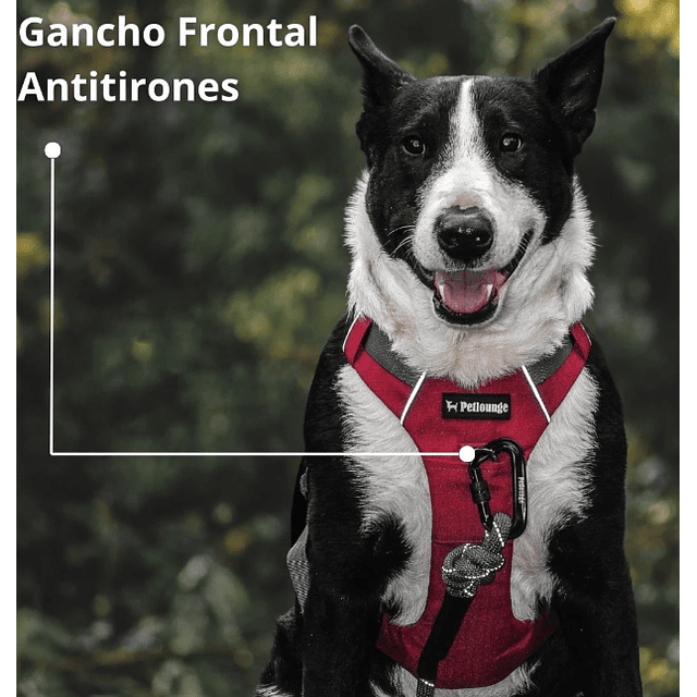 PETLOUNGE ARNES OUTDOOR BURDEO XS