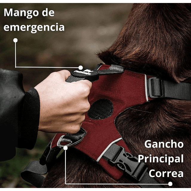 PETLOUNGE ARNES OUTDOOR BURDEO XS