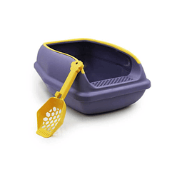 HEY! ARENERO MORADO CON PALA