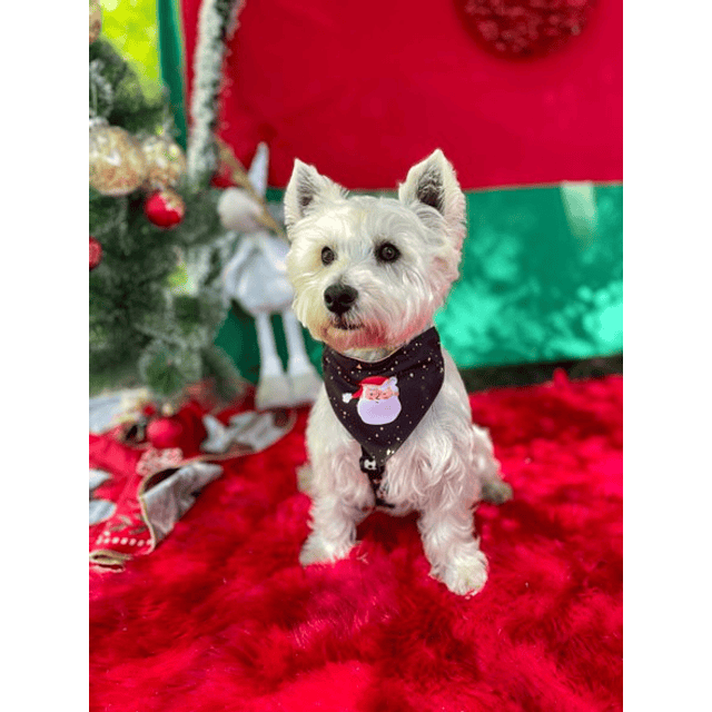 BY SIMONA BANDANA NAVIDAD BUENA NOCHE S