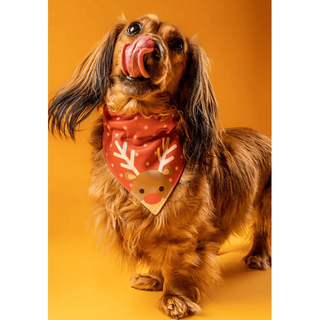 BY SIMONA BANDANA NAVIDAD RODOLFO L