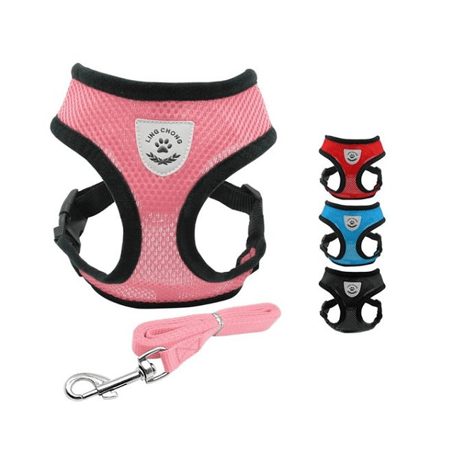 MP ARNES CUERPO + TRAILLA M