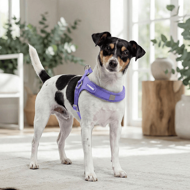 PETLOUNGE ARNES EASY GLAM MORADO M