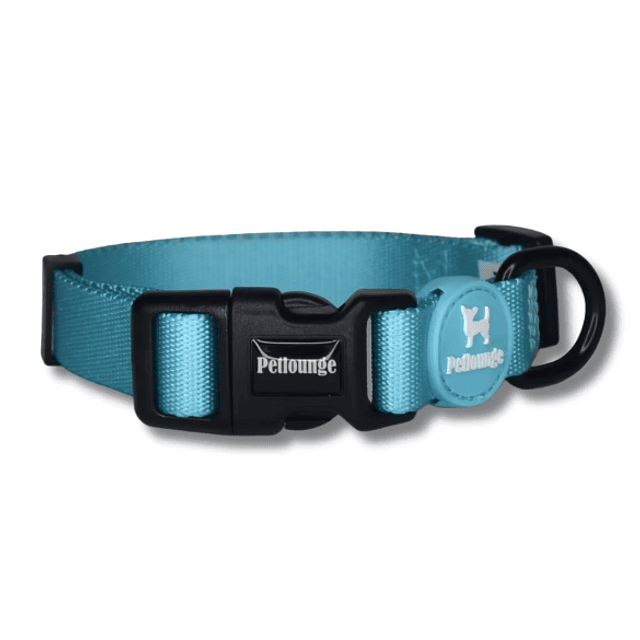 PETLOUNGE COLLAR EASY GLAM TURQUESA L/XL