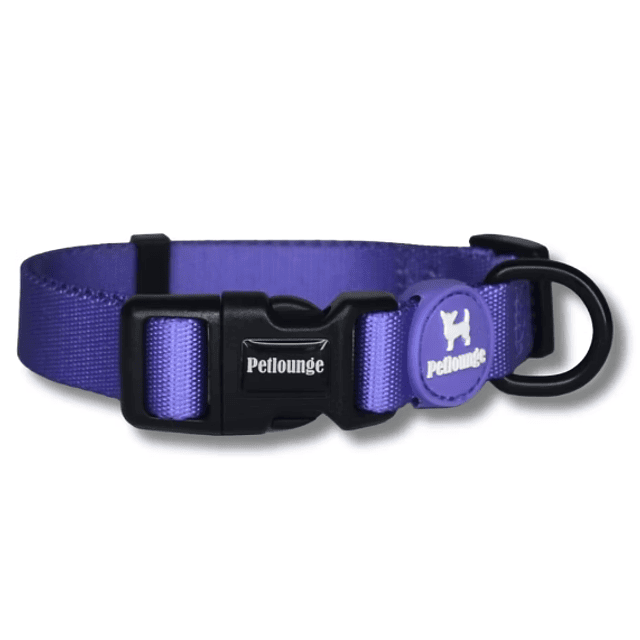 PETLOUNGE COLLAR EASY GLAM MORADO L/XL