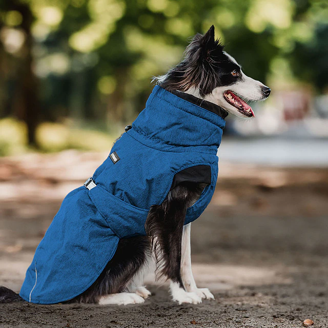 PETLOUNGE PARKA DRY COMFY AZUL XL