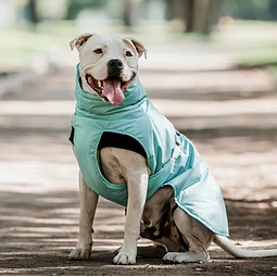 PETLOUNGE PARKA DRY COMFY MENTA XL