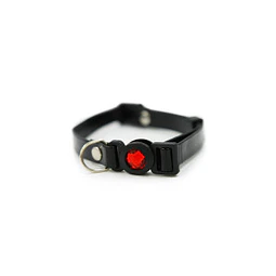 HEY! COLLAR PARA GATOS NEGRO 20-32 CM