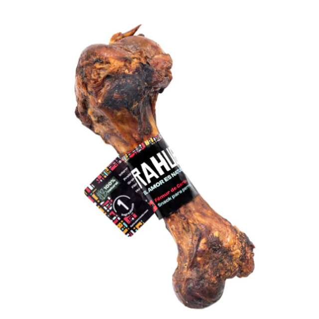 RAHUE FEMUR CERDO