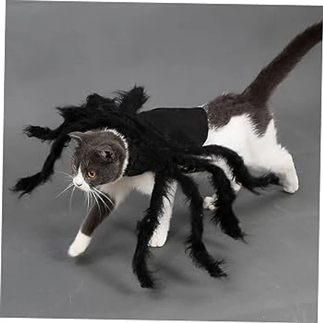 MP CAPA ARAÑA S