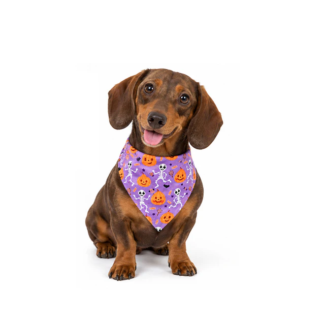 MP BANDANA HUESITOS Y CALABAZAS