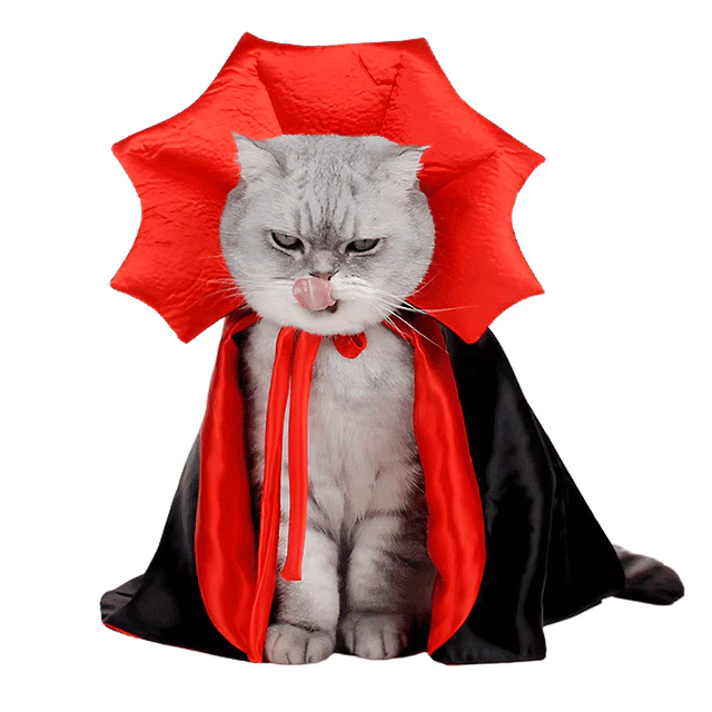 MP DISFRAZ VAMPIRO PARA GATOS