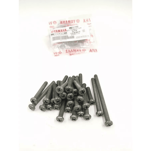 Kit tornillos motor Dt125 (TIPO ORIGINAL) 2