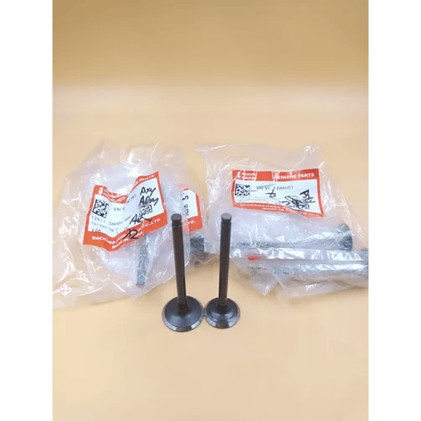 valvulas ax4-viva r admision original