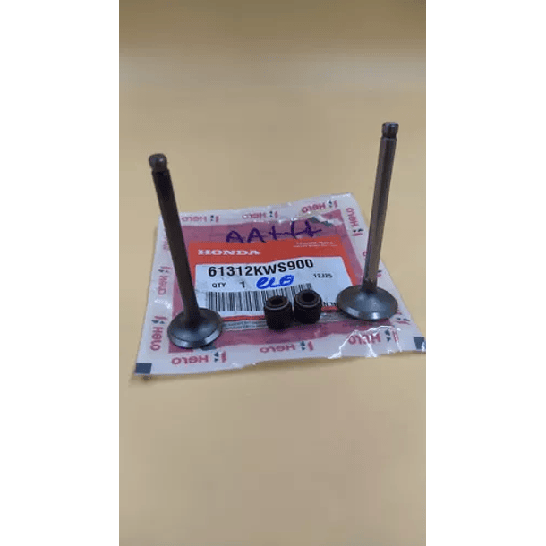 Valvulas Eco deluxe - Akt110 2