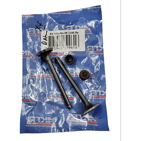 Valvulas Akt110 Eco Deluxe- Con Sellos Original