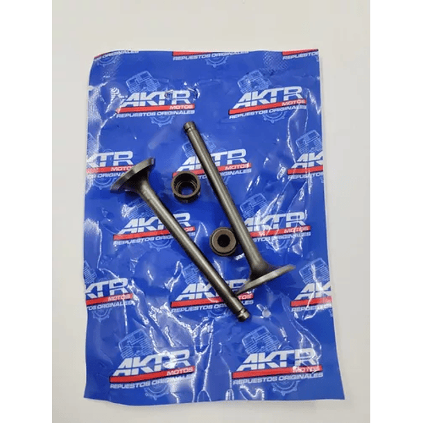 Valvulas Akt110 Eco Deluxe- Con Sellos Original 2