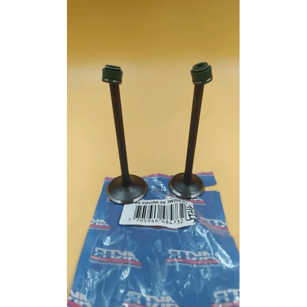 valvulas 3w200 con sellos original 2