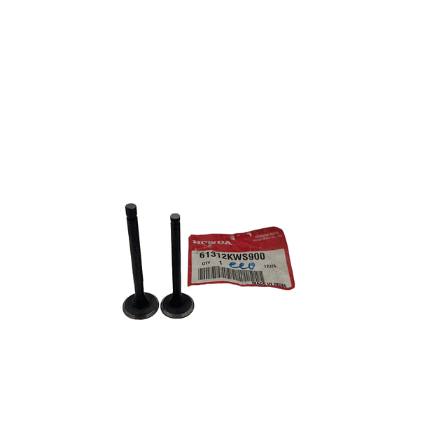 Valvulas Eco deluxe - Akt110 1