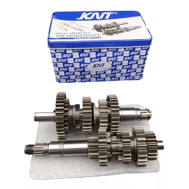 Caja De Cambios Fz-16 ((knt))