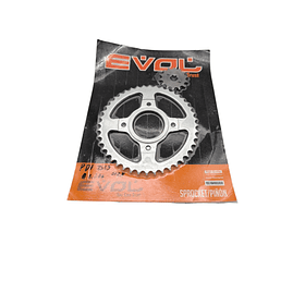 plato piñon eco deluxe 428 evol                                       