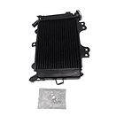 Radiador Pulsar 200ns Gaju 2