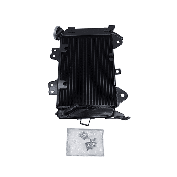 Radiador Pulsar 200ns Gaju 3