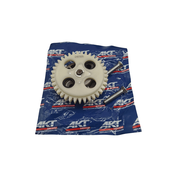 Bomba De Lubricacion Akt180ttr-cr5 Original 1