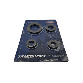 Kit Retenedores Akt125 Nkd-3w200 Motocarro Original