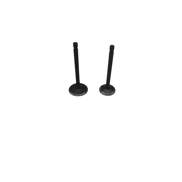 Valvulas Ybr125-libero125-xtz125 Shanti 2