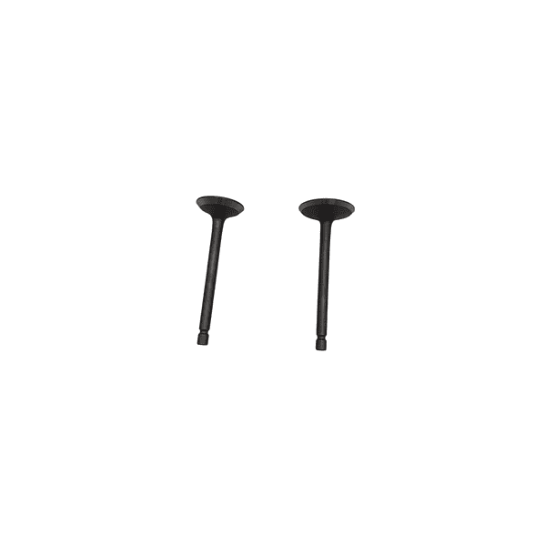 Valvulas Ybr125-libero125-xtz125 Shanti 3