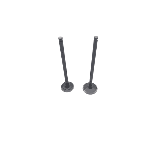 Valvulas Gn125h-gs125 Vitrix 2