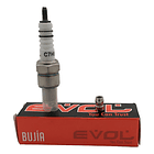 bujia boxer-cripton-best-eco-ax4-viva-wave evol + 1