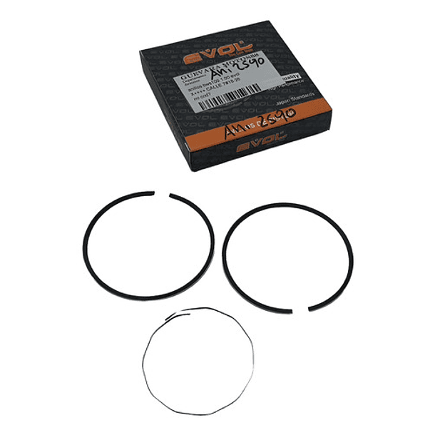 anillos bws100-rx100-dt100 10 evol 1