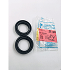 retenedor telescopico boxer ct-rx115 30-42-11 original 6