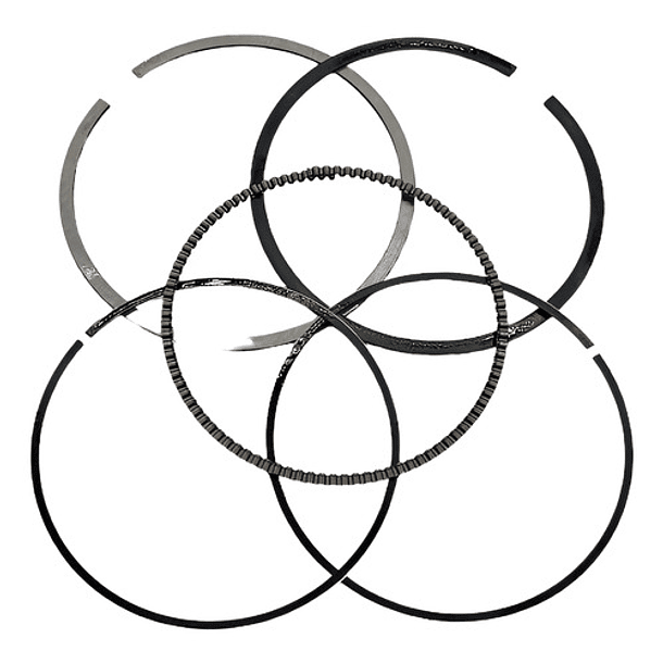 anillos akt150 ne std para piston bajo evol 1