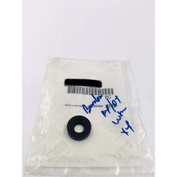 retenedor de bomba rx-dt original 1