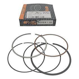 anillos boxer ct100-platino100 10 evol