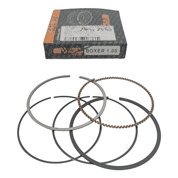 anillos boxer ct100-platino100 10 evol 1