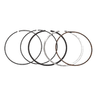 anillos boxer ct100-platino100 10 evol 4