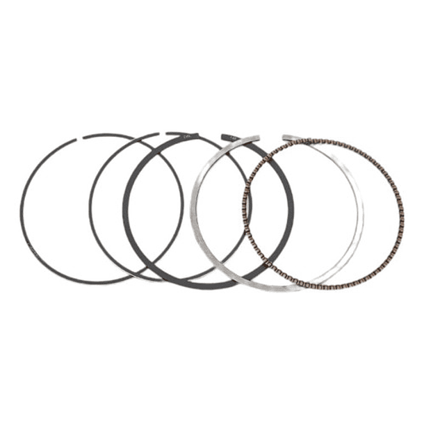 anillos boxer ct100-platino100 10 evol 4